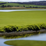 Algae Blooms Wreak Havoc on Northern Ireland’s Water Systems