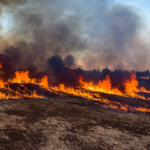 Europe in Flames: 330,000 Flee Wildfires