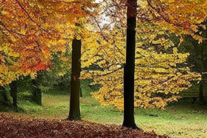 Blog Feature 2041597776